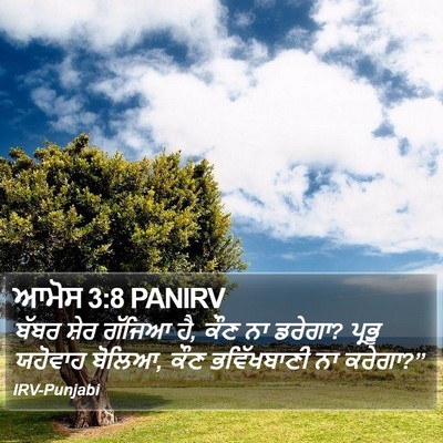 ਆਮੋਸ 3:8 PANIRV Bible Verse Image