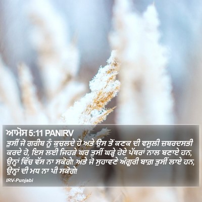 ਆਮੋਸ 5:11 PANIRV Bible Verse Image