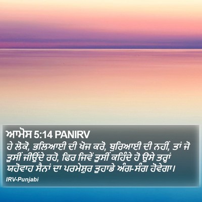 ਆਮੋਸ 5:14 PANIRV Bible Verse Image