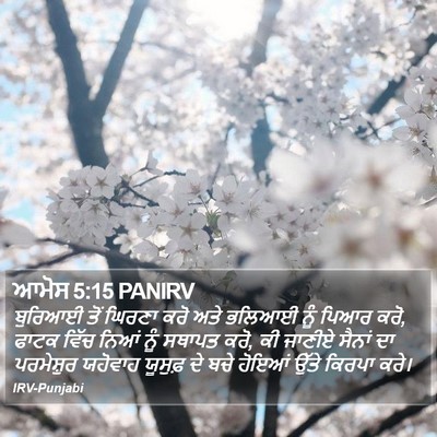 ਆਮੋਸ 5:15 PANIRV Bible Verse Image