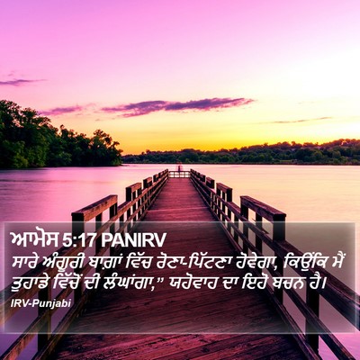ਆਮੋਸ 5:17 PANIRV Bible Verse Image