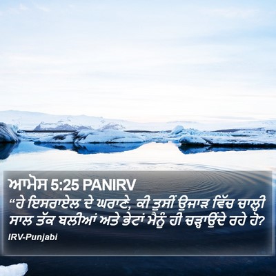 ਆਮੋਸ 5:25 PANIRV Bible Verse Image