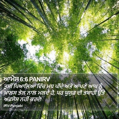 ਆਮੋਸ 6:6 PANIRV Bible Verse Image