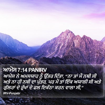 ਆਮੋਸ 7:14 PANIRV Bible Verse Image