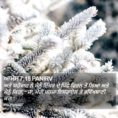 ਆਮੋਸ 7:15 PANIRV Bible Verse Image