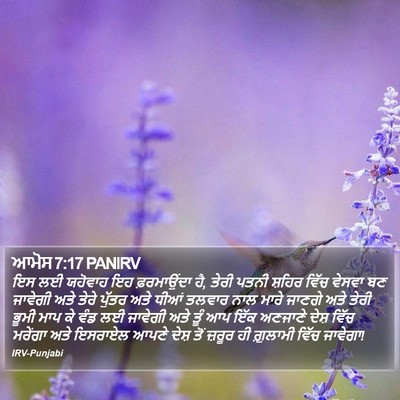 ਆਮੋਸ 7:17 PANIRV Bible Verse Image