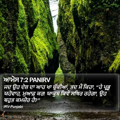 ਆਮੋਸ 7:2 PANIRV Bible Verse Image