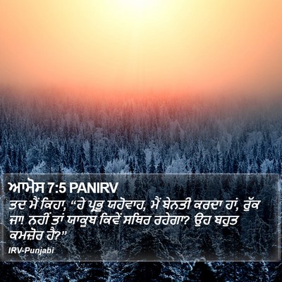 ਆਮੋਸ 7:5 PANIRV Bible Verse Image