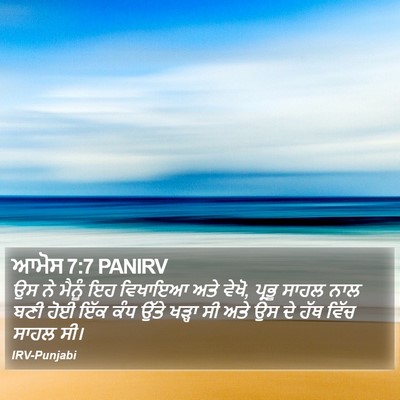 ਆਮੋਸ 7:7 PANIRV Bible Verse Image