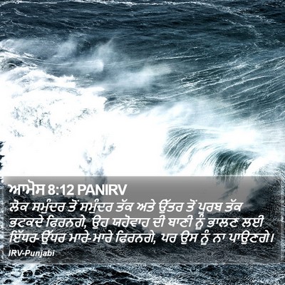 ਆਮੋਸ 8:12 PANIRV Bible Verse Image