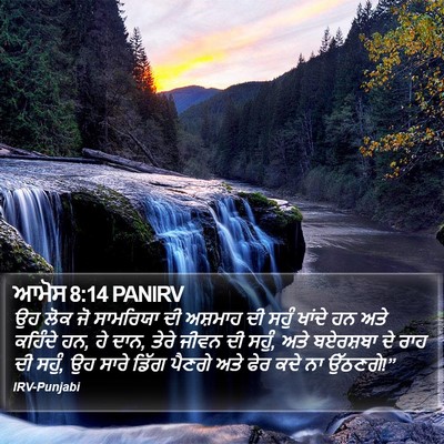 ਆਮੋਸ 8:14 PANIRV Bible Verse Image