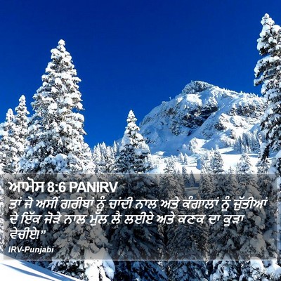 ਆਮੋਸ 8:6 PANIRV Bible Verse Image