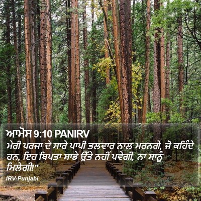 ਆਮੋਸ 9:10 PANIRV Bible Verse Image