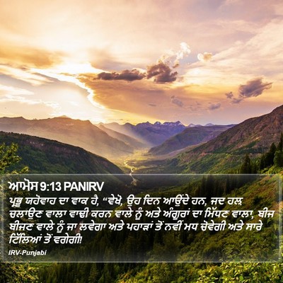 ਆਮੋਸ 9:13 PANIRV Bible Verse Image