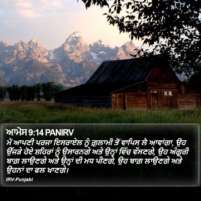 ਆਮੋਸ 9:14 PANIRV Bible Verse Image