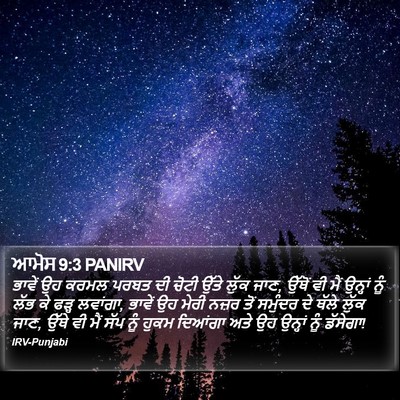 ਆਮੋਸ 9:3 PANIRV Bible Verse Image