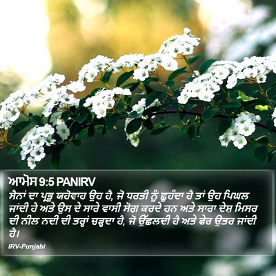 ਆਮੋਸ 9:5 PANIRV Bible Verse Image