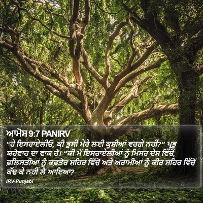 ਆਮੋਸ 9:7 PANIRV Bible Verse Image
