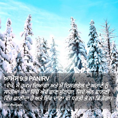 ਆਮੋਸ 9:9 PANIRV Bible Verse Image