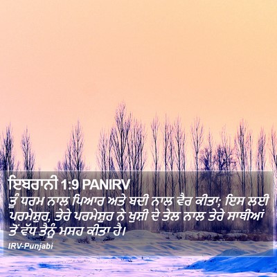 ਇਬਰਾਨੀ 1:9 PANIRV Bible Verse Image