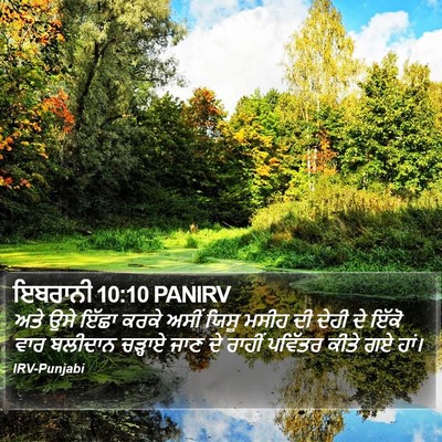 ਇਬਰਾਨੀ 10:10 PANIRV Bible Verse Image