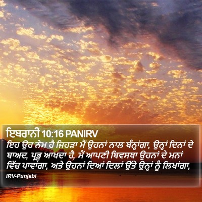 ਇਬਰਾਨੀ 10:16 PANIRV Bible Verse Image
