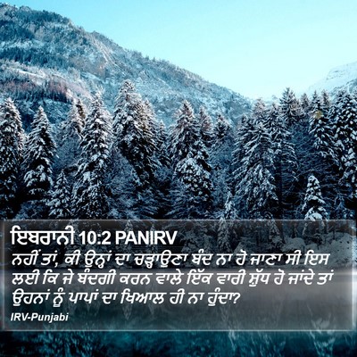 ਇਬਰਾਨੀ 10:2 PANIRV Bible Verse Image