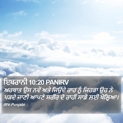 ਇਬਰਾਨੀ 10:20 PANIRV Bible Verse Image