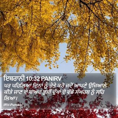 ਇਬਰਾਨੀ 10:32 PANIRV Bible Verse Image