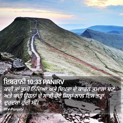 ਇਬਰਾਨੀ 10:33 PANIRV Bible Verse Image