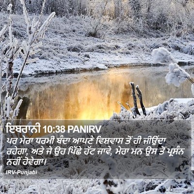 ਇਬਰਾਨੀ 10:38 PANIRV Bible Verse Image