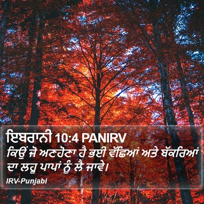 ਇਬਰਾਨੀ 10:4 PANIRV Bible Verse Image