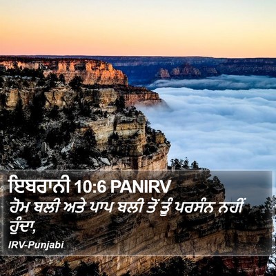 ਇਬਰਾਨੀ 10:6 PANIRV Bible Verse Image