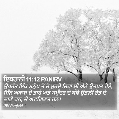 ਇਬਰਾਨੀ 11:12 PANIRV Bible Verse Image