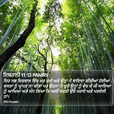 ਇਬਰਾਨੀ 11:13 PANIRV Bible Verse Image
