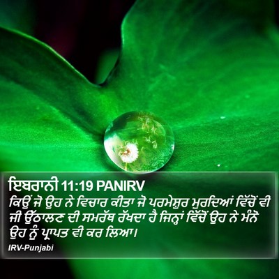 ਇਬਰਾਨੀ 11:19 PANIRV Bible Verse Image