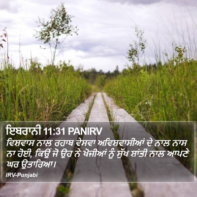 ਇਬਰਾਨੀ 11:31 PANIRV Bible Verse Image