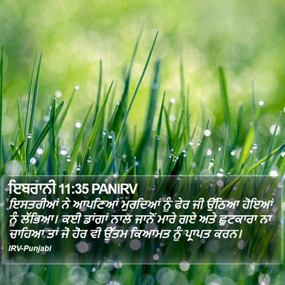 ਇਬਰਾਨੀ 11:35 PANIRV Bible Verse Image