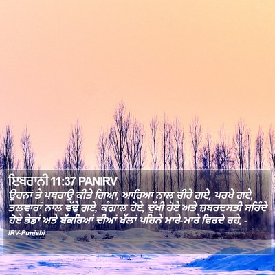 ਇਬਰਾਨੀ 11:37 PANIRV Bible Verse Image