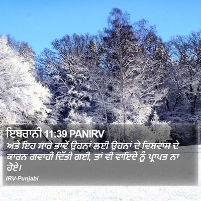 ਇਬਰਾਨੀ 11:39 PANIRV Bible Verse Image