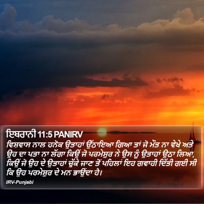 ਇਬਰਾਨੀ 11:5 PANIRV Bible Verse Image
