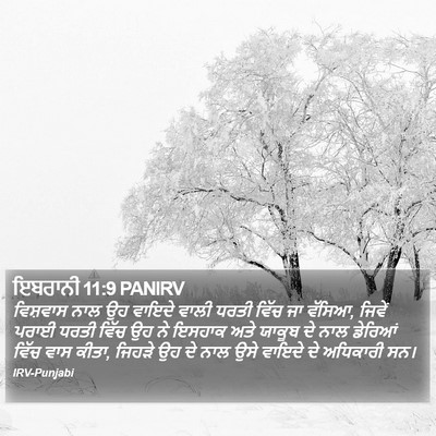 ਇਬਰਾਨੀ 11:9 PANIRV Bible Verse Image