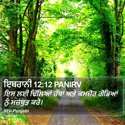 ਇਬਰਾਨੀ 12:12 PANIRV Bible Verse Image