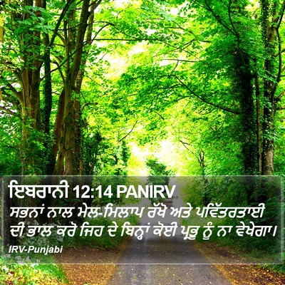 ਇਬਰਾਨੀ 12:14 PANIRV Bible Verse Image