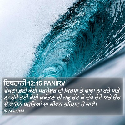 ਇਬਰਾਨੀ 12:15 PANIRV Bible Verse Image