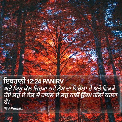 ਇਬਰਾਨੀ 12:24 PANIRV Bible Verse Image