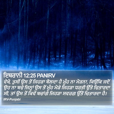 ਇਬਰਾਨੀ 12:25 PANIRV Bible Verse Image