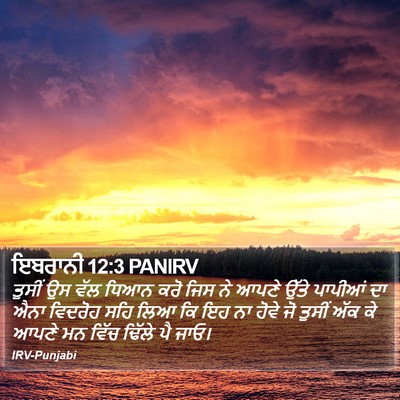 ਇਬਰਾਨੀ 12:3 PANIRV Bible Verse Image