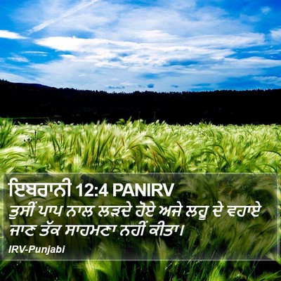 ਇਬਰਾਨੀ 12:4 PANIRV Bible Verse Image