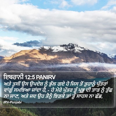 ਇਬਰਾਨੀ 12:5 PANIRV Bible Verse Image
